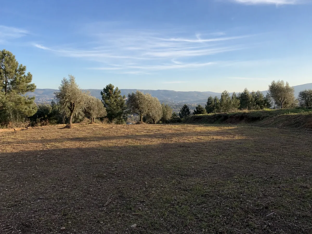Terreno vazio antes da visualização